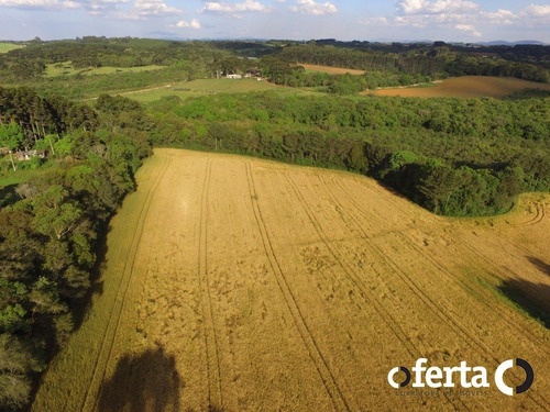 Imagem 2 de 9 de Chacara - Tiete - Ref: 741 - V-741