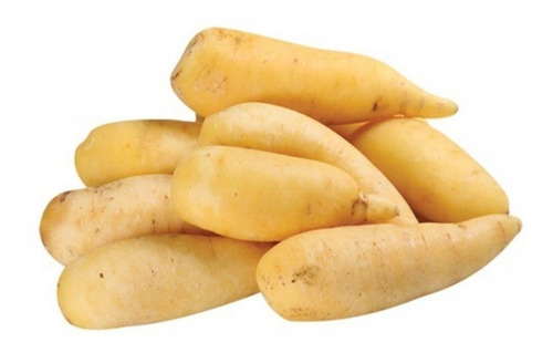 60 Rizomas De Mandioquinha - Batata Baroa - Batata Salsa
