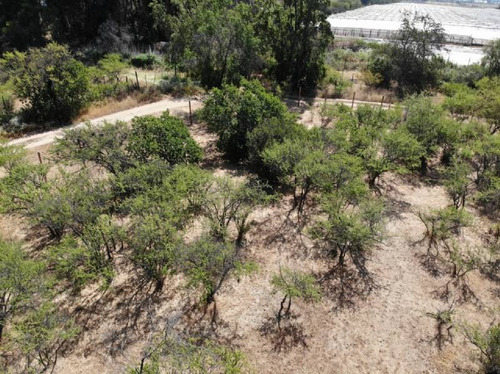 Imagen 13 de 22 de Parcela En Venta Primera Etapa Reserva Las Añañucas