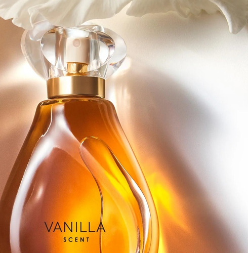 Perfume Dama Vainilla Scent 50 Ml