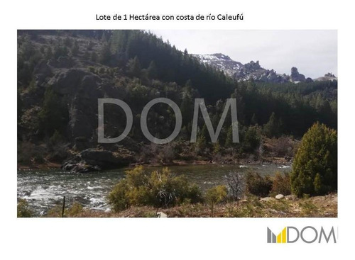 Imagen 2 de 13 de Impresionante Lote De 1ha Con Costa De Río