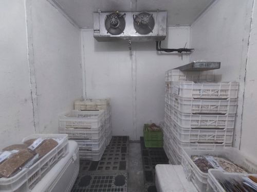 Local Con Procesadora De Pescado Y Otros Alimentos