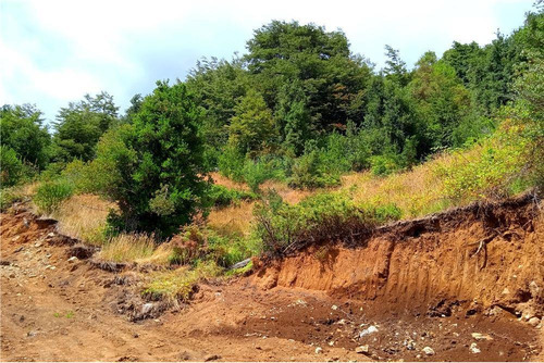 Parcela En Pucón - Sector Huife Alto