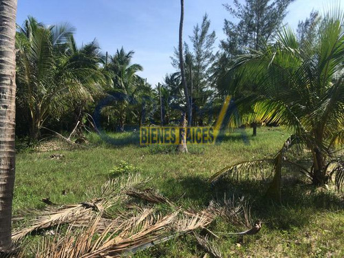 Terreno En Venta En La Playa De Tuxpan