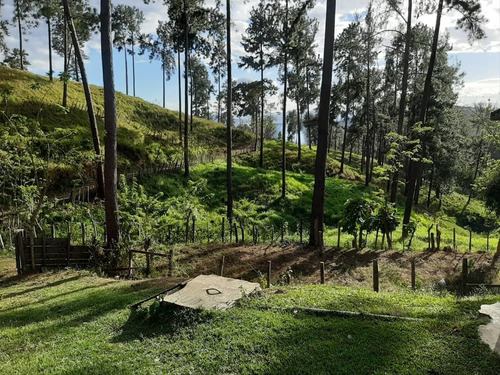 Imagen 2 de 14 de Finca En Venta En Bejuma
