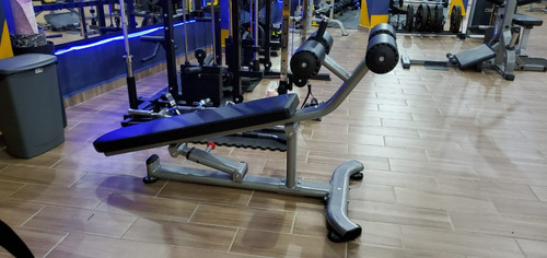 Banco Para Abdominales Premium Ovalado Gym / Gimnasio Msi