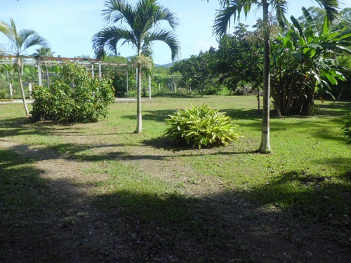 En Venta Parcela En La Poblacion De Aguirre