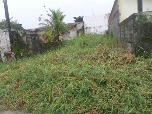 Imagem 1 de 2 de Terreno - Venda - Campos Eliseos - Itanhaem - Ita2924
