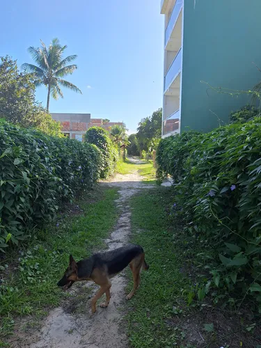 Terreno Morro De São Paulo Bahia