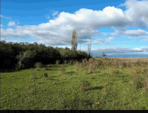 Imagen 6 de 7 de Campo En Venta Tala, Exelente Oportunidad
