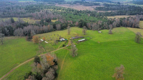 Agrícola En Venta En Paillaco