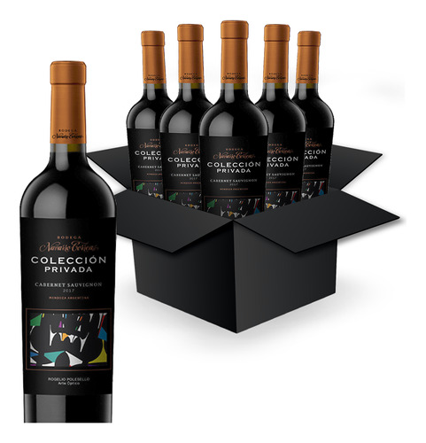 Vino Tinto Colección Privada Cabernet Navarro Correas Caja