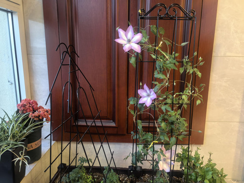 Arifaro Enrejado De Jardín De Metal De 37.5 Pulgadas Para .