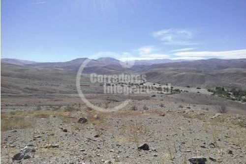 Agrícola En Venta En La Higuera