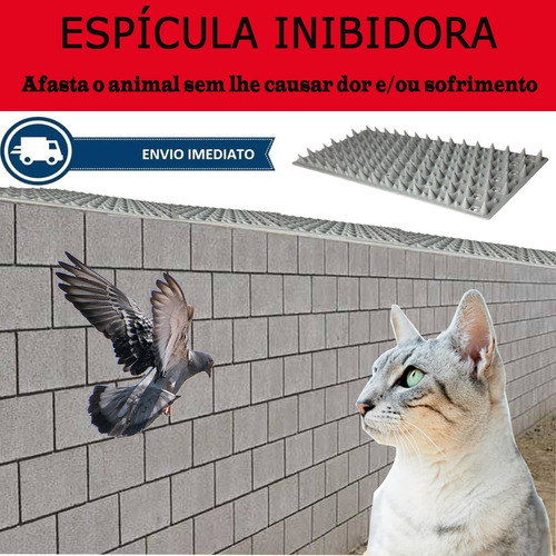 6 Espículas Anti Pombos Gatos Inibidor De Acesso 1,5 Metros