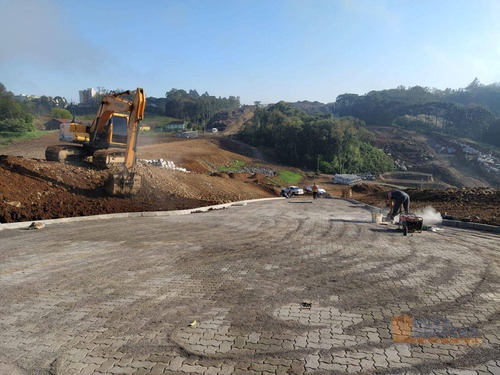 Imagem 9 de 10 de Terreno À Venda, 412 M² Por R$ 131.893,78 - Desvio Rizzo - Caxias Do Sul/rs - Te0280