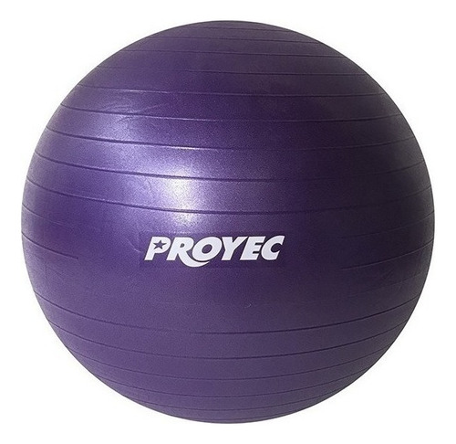 Pelota Yoga Esferodinamia Suiza 85 Cm Gym Fit Ball Color Violeta