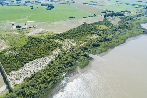 Imagen 6 de 16 de Campos Venta Carmelo Sobre Río De La Plata
