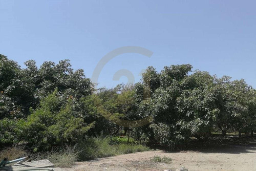 Venta De Camping En La Serena