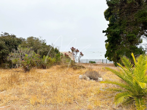Imagen 5 de 18 de Oportunidad Inversión Venta Casa Algarrobo Con Vista Al Mar
