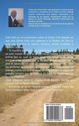 El Camino A La Perfeccion: Salmo 119 (spanish Edition)