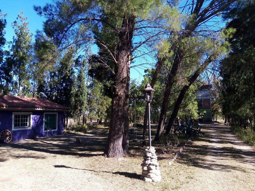 Imagen 2 de 14 de Campo En Venta De 24 Has. Con Casa.. Traslasierras