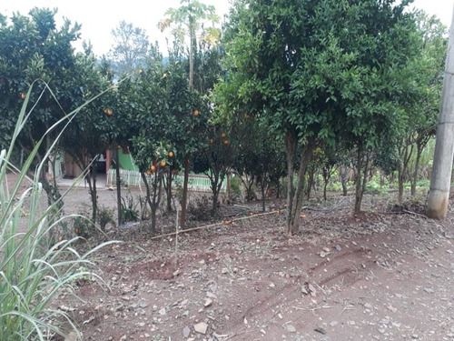 Chácara 20.000 M² - Espinheirinhos - Santo Antonio Da Patrulha - Rs - 2381 - 68129851
