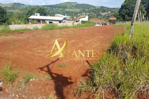 Imagem 5 de 7 de Terreno - Te00011 - 69578093