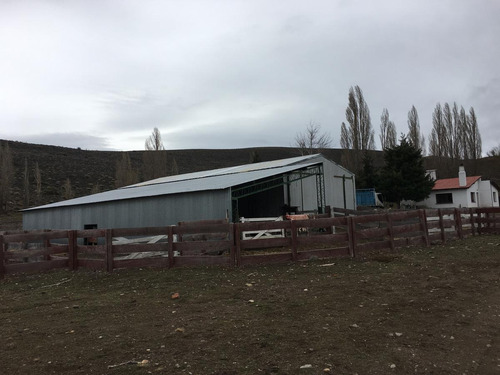 Campo - Tecka