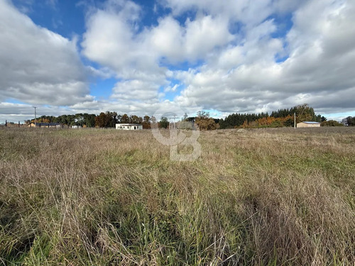 Parcelas 5.000 M² Cerca De Osorno