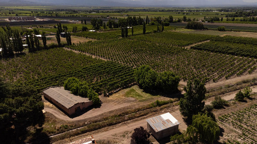 Finca En Venta En Tunuyán