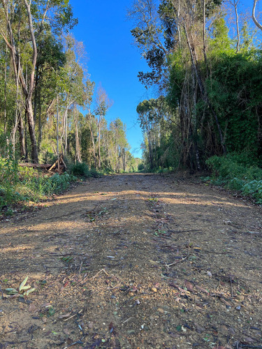 Loteo Don Jaime / Región De Los Lagos (67191)