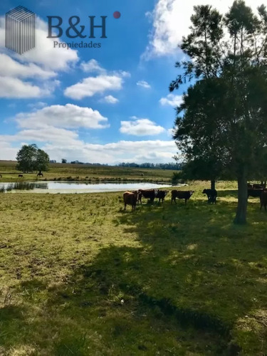 Chacra En Venta De 5 Hectáreas - Camino Medellin