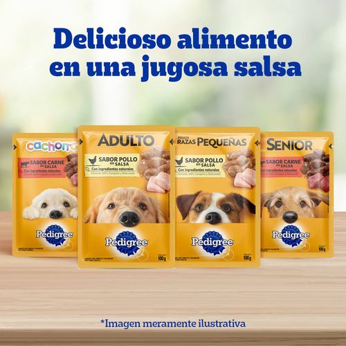 Pedigree Alimento Húmedo En Sobre Perro Raza Peq Carne 12un