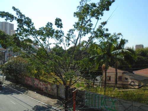 Imagem 11 de 12 de Terreno - 471022 - 69953291