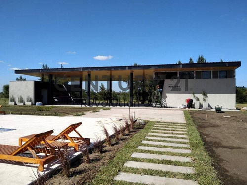 Imagen 5 de 11 de Terreno De 392 M2 En Pinares Del Sur - Piñero