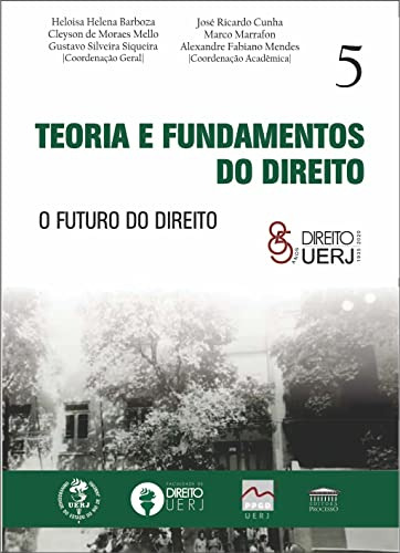 Libro Teoria E Fundamentos Do Direito - O Futuro Do Direito