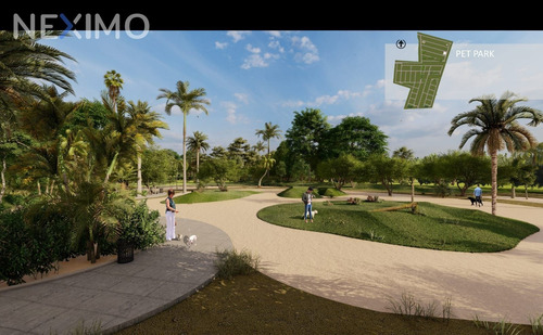 Imagen 4 de 6 de Venta Terreno 0 Ambiente Dzidzantún