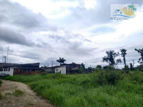Imagem 7 de 14 de Terreno Para Venda No Oasis - Te0056