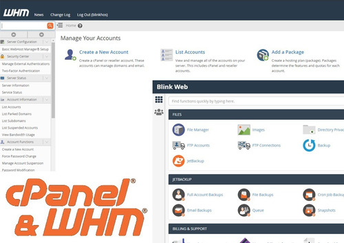 Revenda De Hospedagem Whm/cpanel Ilimitado Ssd Litespeed