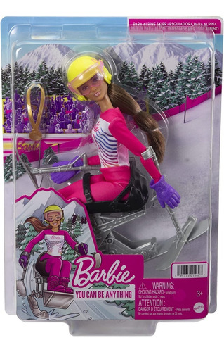 Barbie Deportes De Invierno Esquiadora Accesorios