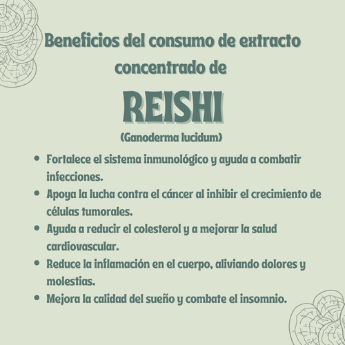 Combo Ashwagandha + Reishi - Extracto - Cápsulas 500mg Sin Sabor
