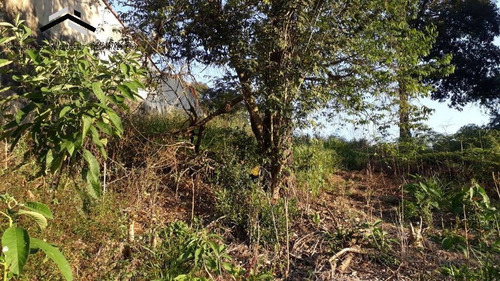 Imagem 5 de 15 de Ótimo Terreno Em Condomínio Fechado Em Caucaia Do Alto - Cotia - 294