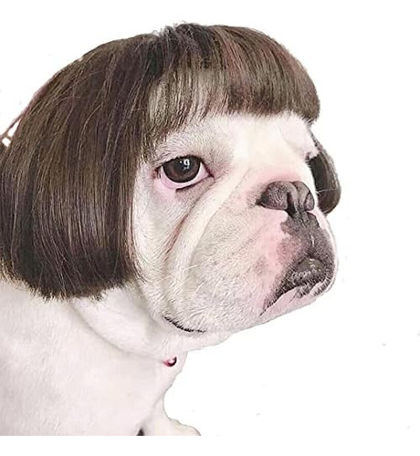 Peluca Para Mascota De Estilo Carré, Flequillo Recto, Marrón