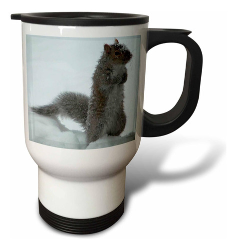 3drose Linda Ardilla En La Taza De Viajes De Nieve, Acero In