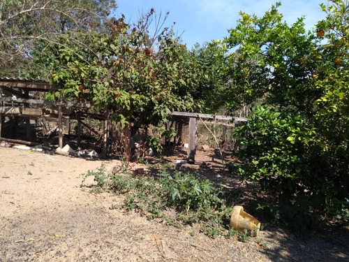 Imagem 4 de 25 de Chácara 13 Mil M2, Casa Sede Com 3 Dormitórios, 1 Suíte, Poço Artesiano, Pomar, Cozinha Americana - Ch00124 - 69942096