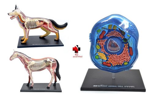Imagem 1 de 8 de Anatomia Do Cavalo, Cachorro E Celula Animal 4d Master
