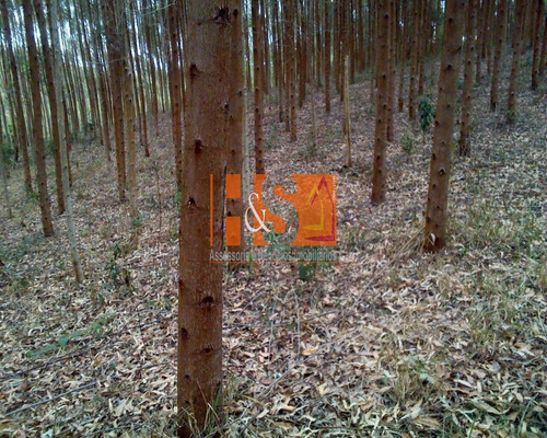 Imagem 7 de 18 de Fazenda - Fa00001 - 69800283