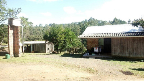 Imagem 7 de 15 de Chácara Para Venda Em Taquara, Santa Cruz Da Concórdia - Jvch011_2-1266711