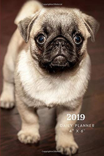 2019 Daily Planner 4 X 6 Small Mini French Bull Dog Calendar